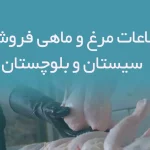 اطلاعات مرغ و ماهی فروشان استان سیستان و بلوچستان