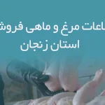 اطلاعات مرغ و ماهی فروشان استان زنجان