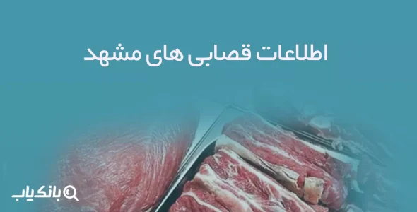 اطلاعات قصابی های مشهد