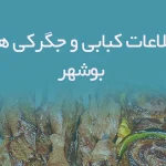 اطلاعات کبابی و جگرکی های بوشهر