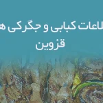 اطلاعات کبابی و جگرکی های قزوین