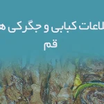اطلاعات کبابی و جگرکی های قم