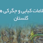 اطلاعات کبابی و جگرکی های گلستان