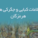 اطلاعات کبابی و جگرکی های هرمزگان