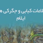 اطلاعات کبابی و جگرکی های ایلام