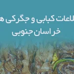 اطلاعات کبابی و جگرکی های خراسان جنوبی