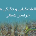 اطلاعات کبابی و جگرکی های خراسان شمالی
