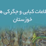 اطلاعات کبابی و جگرکی های خوزستان