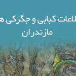 اطلاعات کبابی و جگرکی های مازندران
