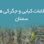 اطلاعات کبابی و جگرکی های سمنان