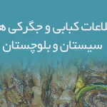 اطلاعات کبابی و جگرکی های سیستان و بلوچستان