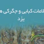 اطلاعات کبابی و جگرکی های یزد