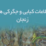 اطلاعات کبابی و جگرکی های زنجان