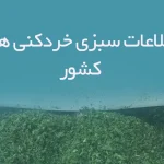 اطلاعات و لیست سبزی خردکنی های کشور